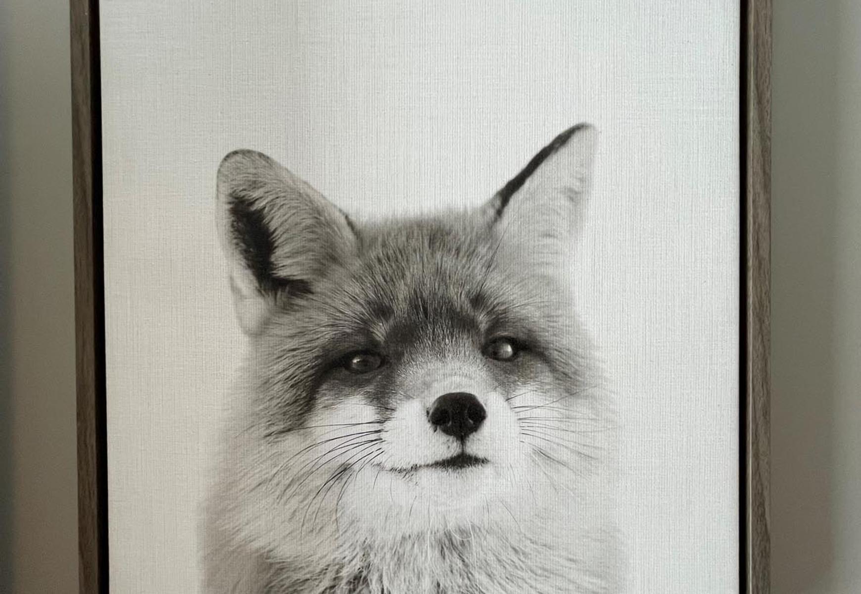 Big Bear Frontier | Big Bear Lake, California | Photo of a fox