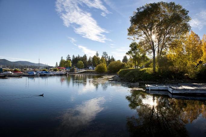 Big Bear Frontier | Big Bear Lake, California | Boats docked on lake with trees in background