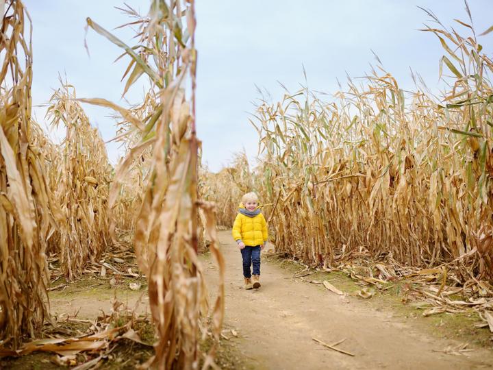 Big Bear Frontier | Big Bear Lake, California | 4