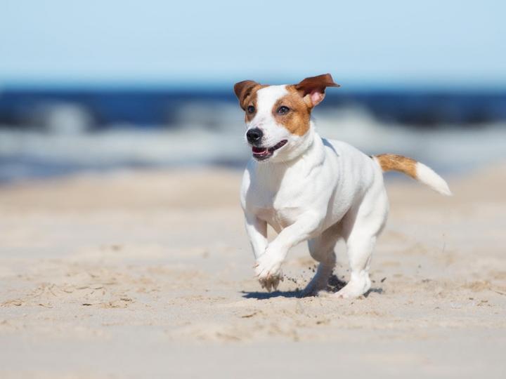 Big Bear Frontier | Big Bear Lake, California | 2