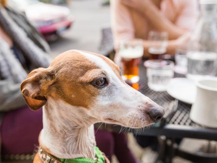 Big Bear Frontier | Big Bear Lake, California | 5