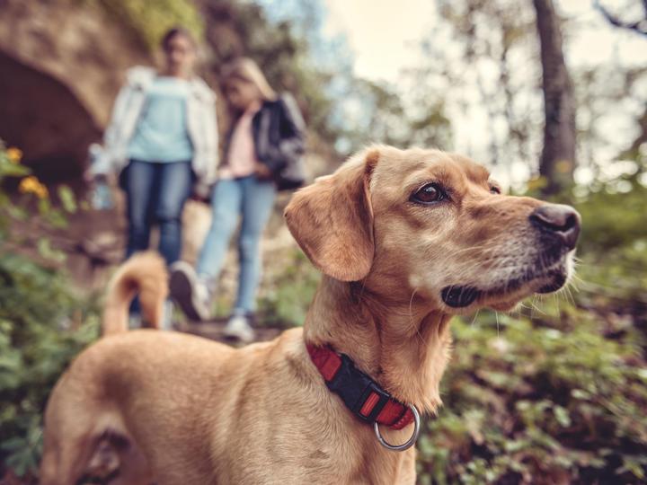 Big Bear Frontier | Big Bear Lake, California | 3