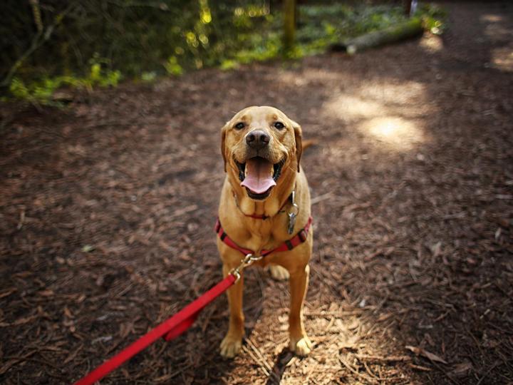 Big Bear Frontier | Big Bear Lake, California | 2