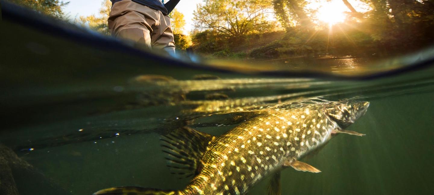 Big Bear Frontier | Big Bear Lake, California | 3