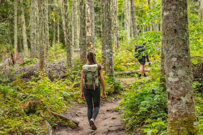 Big Bear Frontier | Big Bear Lake, California | Man and woman walking through the forest on trail