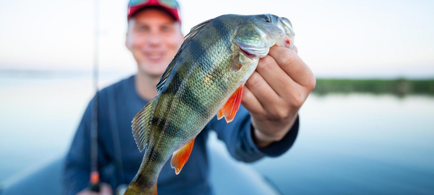 Big Bear Frontier | Big Bear Lake, California | 2