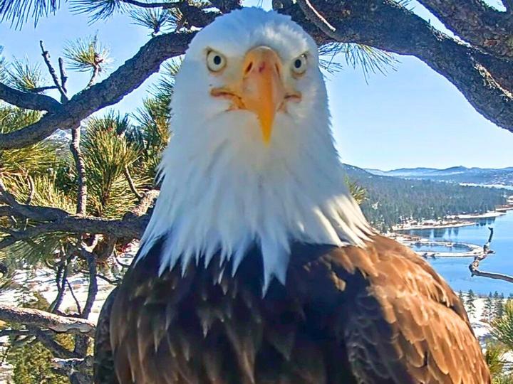 Big Bear Frontier | Big Bear Lake, California | 2